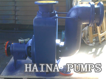 gasoline transfer pump